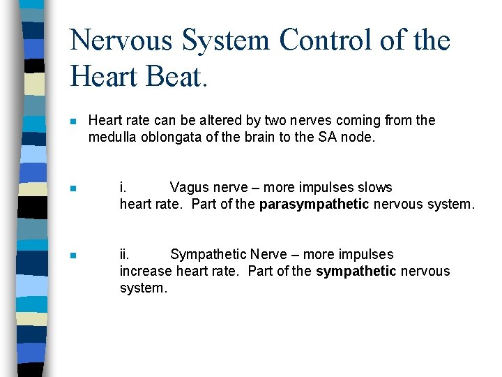 Nervous System Control of the Heart Beat. n Heart rate can be altered by