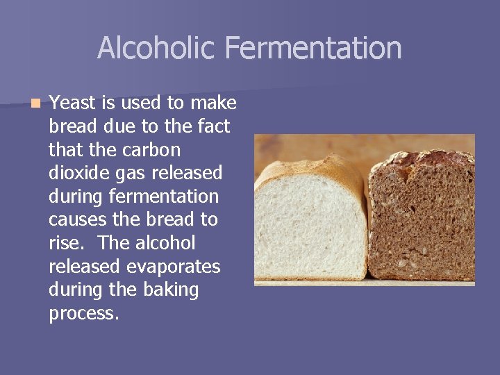 Alcoholic Fermentation n Yeast is used to make bread due to the fact that
