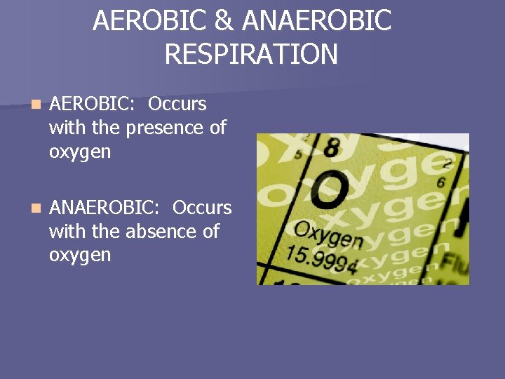 AEROBIC & ANAEROBIC RESPIRATION n AEROBIC: Occurs with the presence of oxygen n ANAEROBIC: