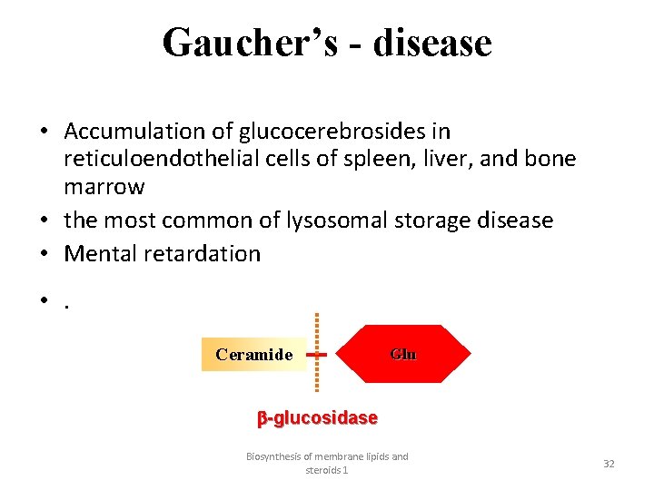 Gaucher’s - disease • Accumulation of glucocerebrosides in reticuloendothelial cells of spleen, liver, and