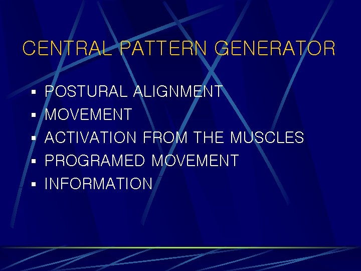 CENTRAL PATTERN GENERATOR § POSTURAL ALIGNMENT § MOVEMENT § ACTIVATION FROM THE MUSCLES §