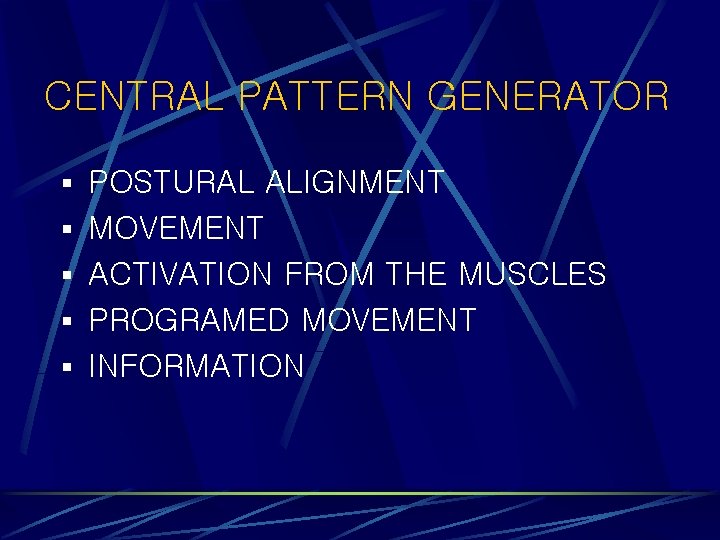 CENTRAL PATTERN GENERATOR § POSTURAL ALIGNMENT § MOVEMENT § ACTIVATION FROM THE MUSCLES § CENTRAL PATTERN GENERATOR § POSTURAL ALIGNMENT § MOVEMENT § ACTIVATION FROM THE MUSCLES §