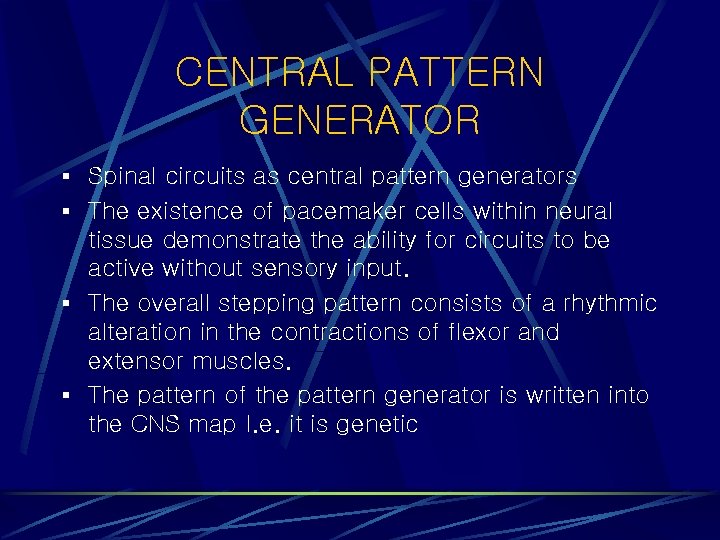 CENTRAL PATTERN GENERATOR § Spinal circuits as central pattern generators § The existence of