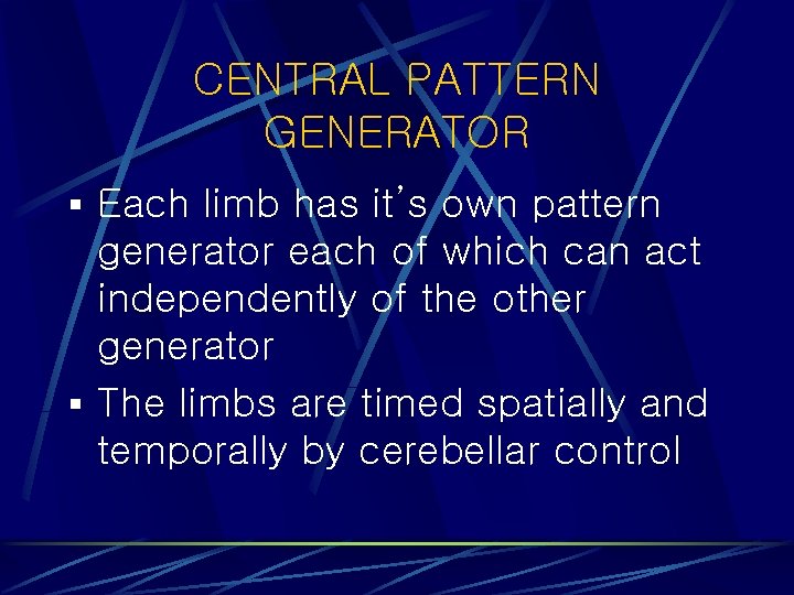CENTRAL PATTERN GENERATOR § Each limb has it’s own pattern generator each of which
