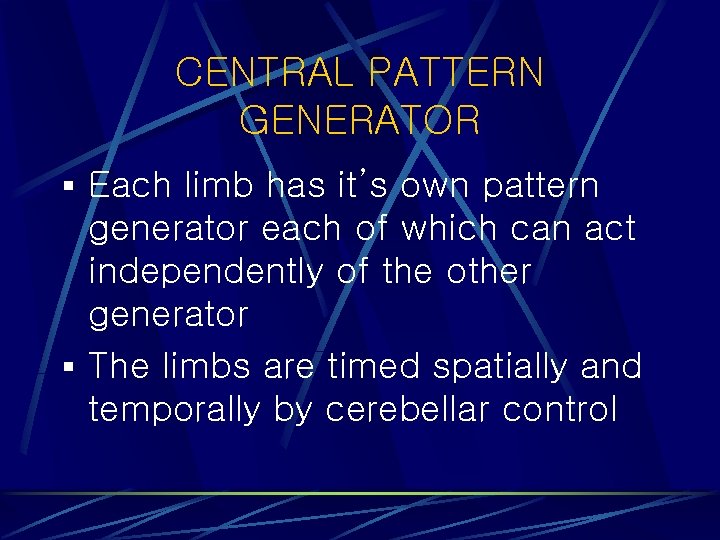 CENTRAL PATTERN GENERATOR § Each limb has it’s own pattern generator each of which CENTRAL PATTERN GENERATOR § Each limb has it’s own pattern generator each of which