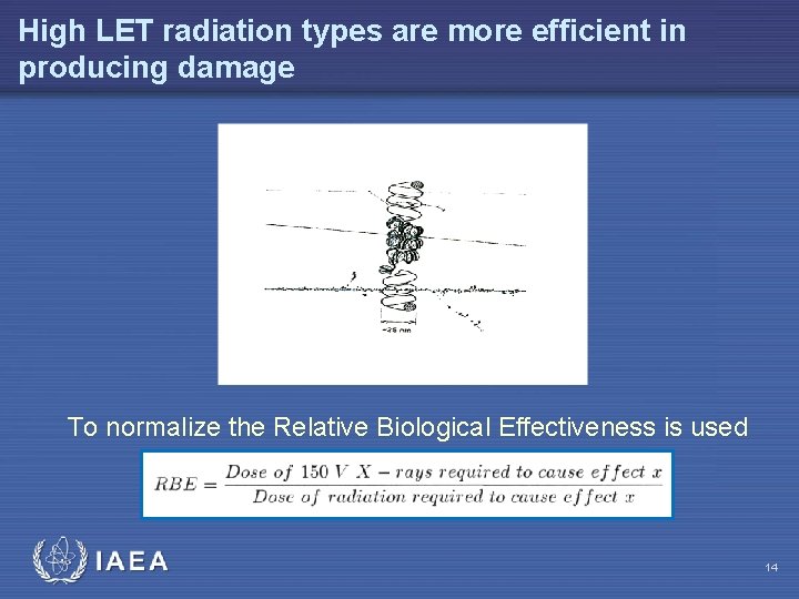 High LET radiation types are more efficient in producing damage To normalize the Relative
