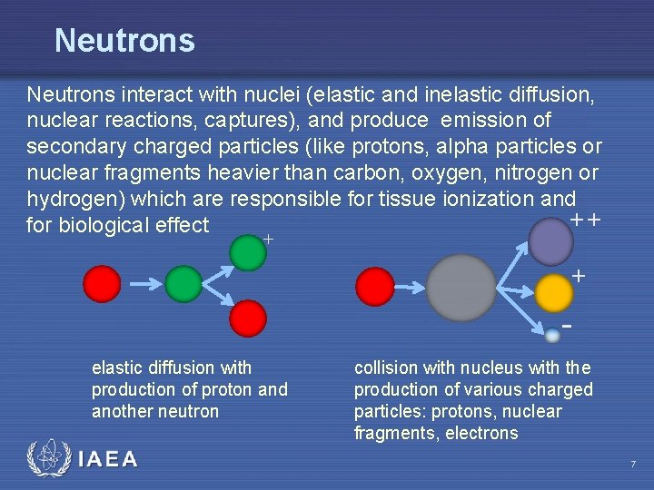 Neutrons interact with nuclei (elastic and inelastic diffusion, nuclear reactions, captures), and produce emission