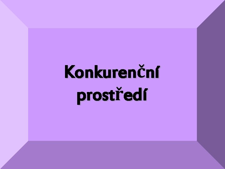 Konkurenční prostředí 