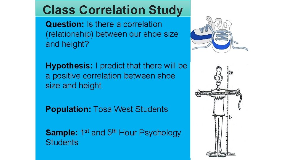 Class Correlation Study Question: Is there a correlation (relationship) between our shoe size and
