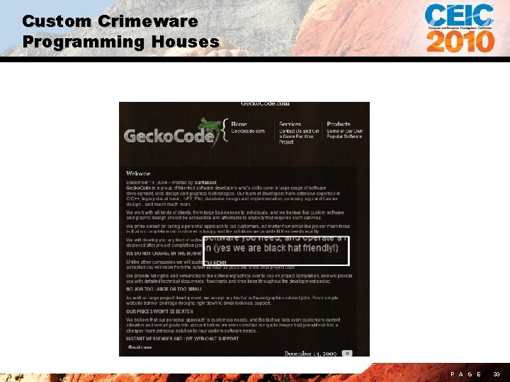 Custom Crimeware Programming Houses P A G E 33 