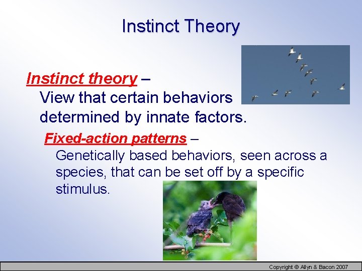 Instinct Theory Instinct theory – View that certain behaviors determined by innate factors. are