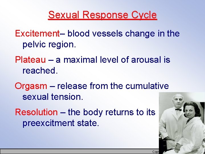 Sexual Response Cycle Excitement– blood vessels change in the pelvic region. Plateau – a