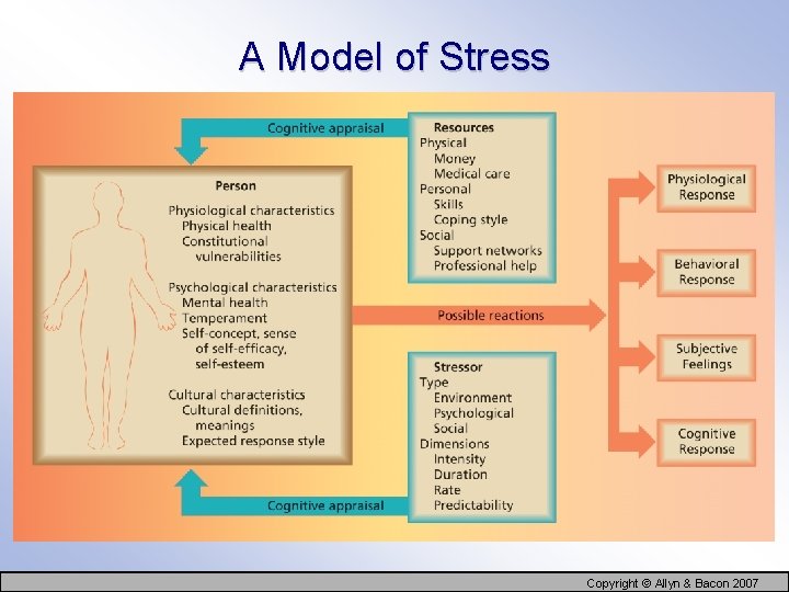 A Model of Stress Copyright © Allyn & Bacon 2007 