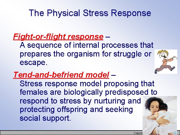 The Physical Stress Response Fight-or-flight response – A sequence of internal processes that prepares