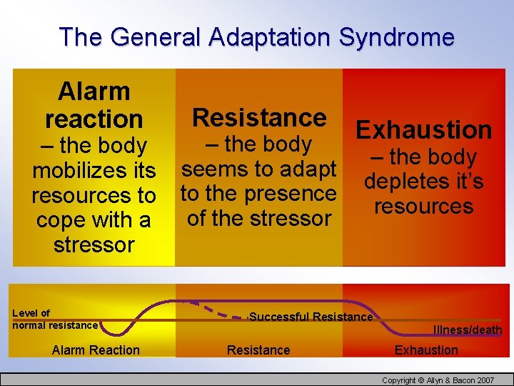 The General Adaptation Syndrome Alarm reaction – the body mobilizes its resources to cope