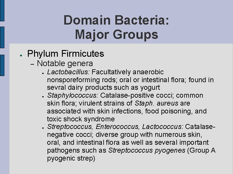 Domain Bacteria: Major Groups ● Phylum Firmicutes – Notable genera ● ● ● Lactobacillus: