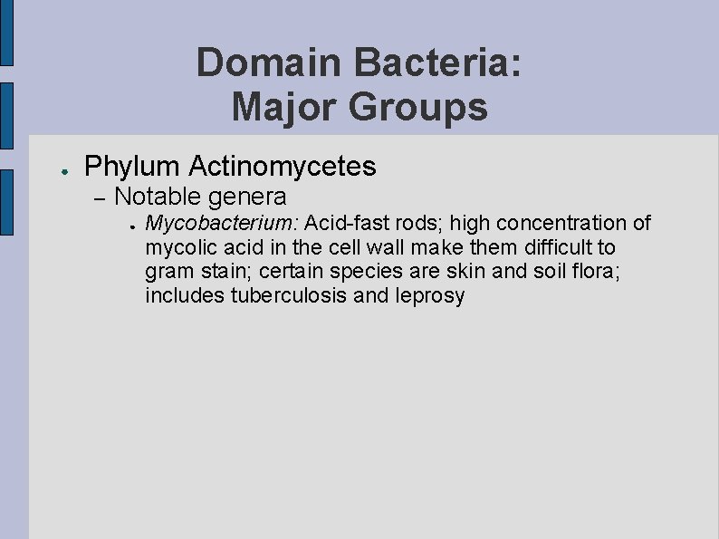Domain Bacteria: Major Groups ● Phylum Actinomycetes – Notable genera ● Mycobacterium: Acid-fast rods;
