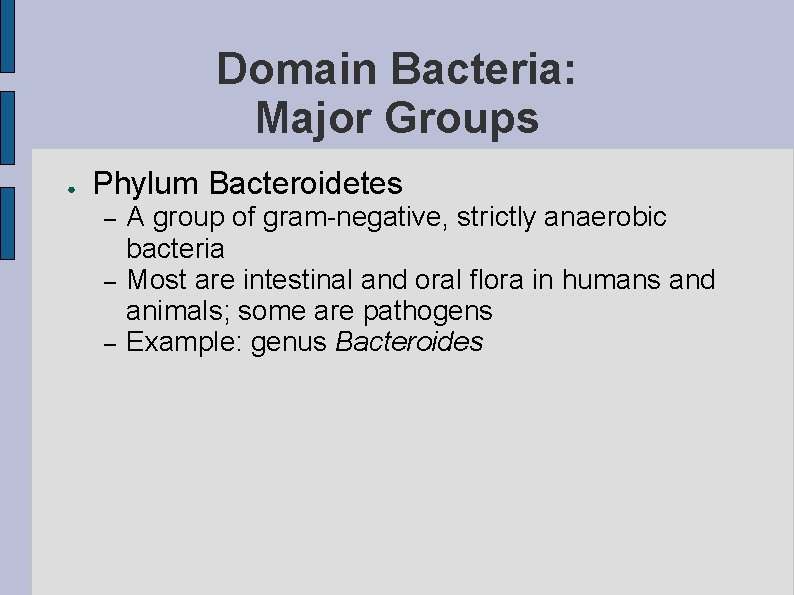 Domain Bacteria: Major Groups ● Phylum Bacteroidetes – – – A group of gram-negative,