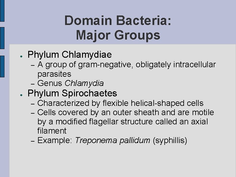 Domain Bacteria: Major Groups ● Phylum Chlamydiae – – ● A group of gram-negative,