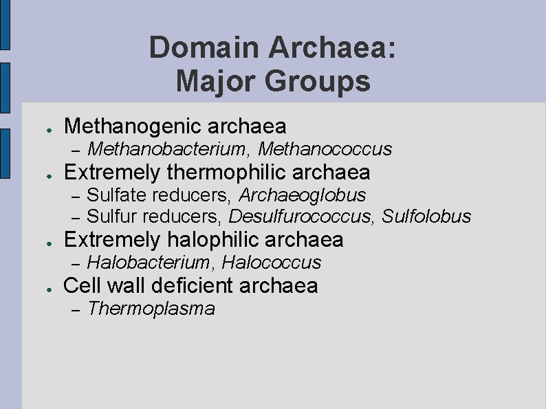 Domain Archaea: Major Groups ● Methanogenic archaea – ● Extremely thermophilic archaea – –