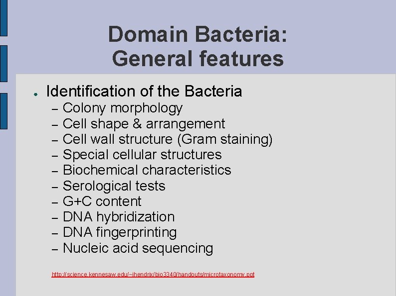 Domain Bacteria: General features ● Identification of the Bacteria – – – – –