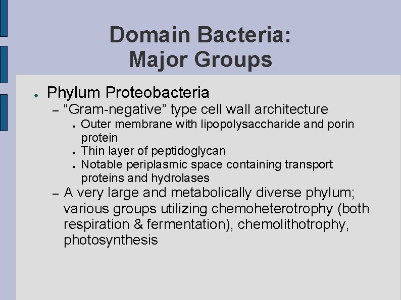 Domain Bacteria: Major Groups ● Phylum Proteobacteria – “Gram-negative” type cell wall architecture ●