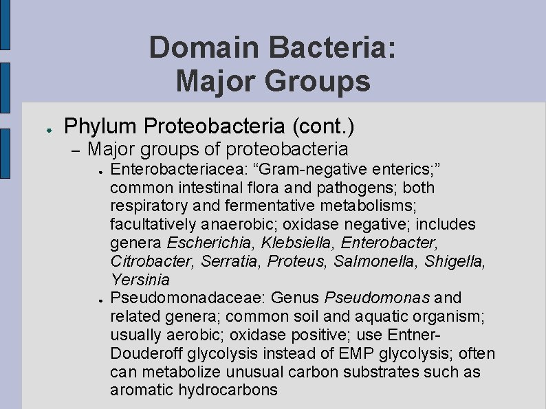 Domain Bacteria: Major Groups ● Phylum Proteobacteria (cont. ) – Major groups of proteobacteria