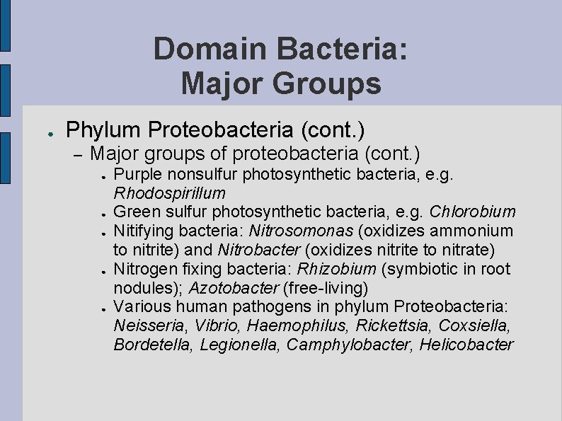 Domain Bacteria: Major Groups ● Phylum Proteobacteria (cont. ) – Major groups of proteobacteria