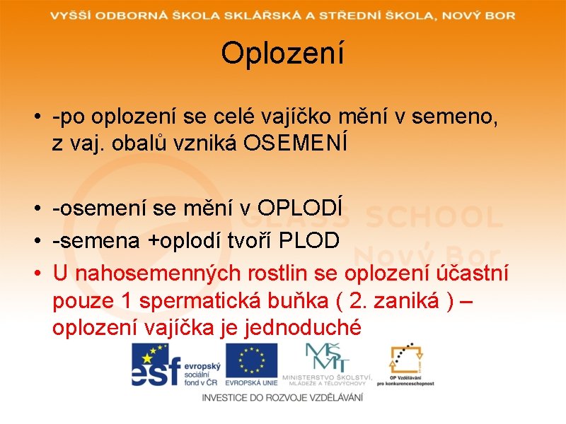 Oplození • -po oplození se celé vajíčko mění v semeno, z vaj. obalů vzniká Oplození • -po oplození se celé vajíčko mění v semeno, z vaj. obalů vzniká
