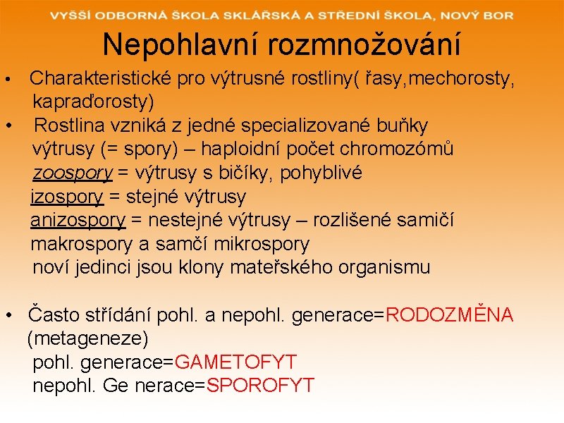 Nepohlavní rozmnožování Charakteristické pro výtrusné rostliny( řasy, mechorosty, kapraďorosty) • Rostlina vzniká z jedné