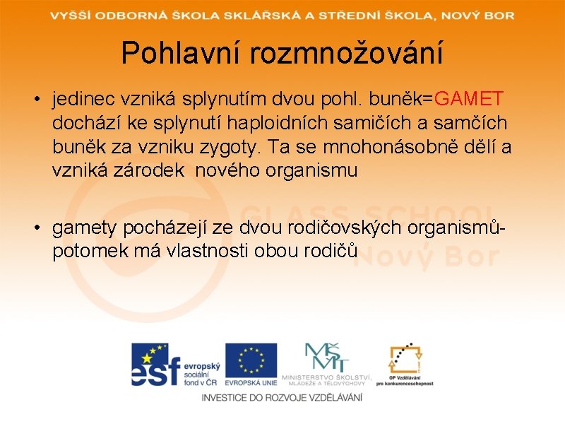 Pohlavní rozmnožování • jedinec vzniká splynutím dvou pohl. buněk=GAMET dochází ke splynutí haploidních samičích