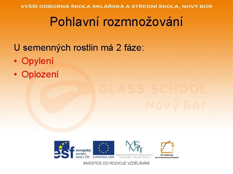 Pohlavní rozmnožování U semenných rostlin má 2 fáze: • Opylení • Oplození 