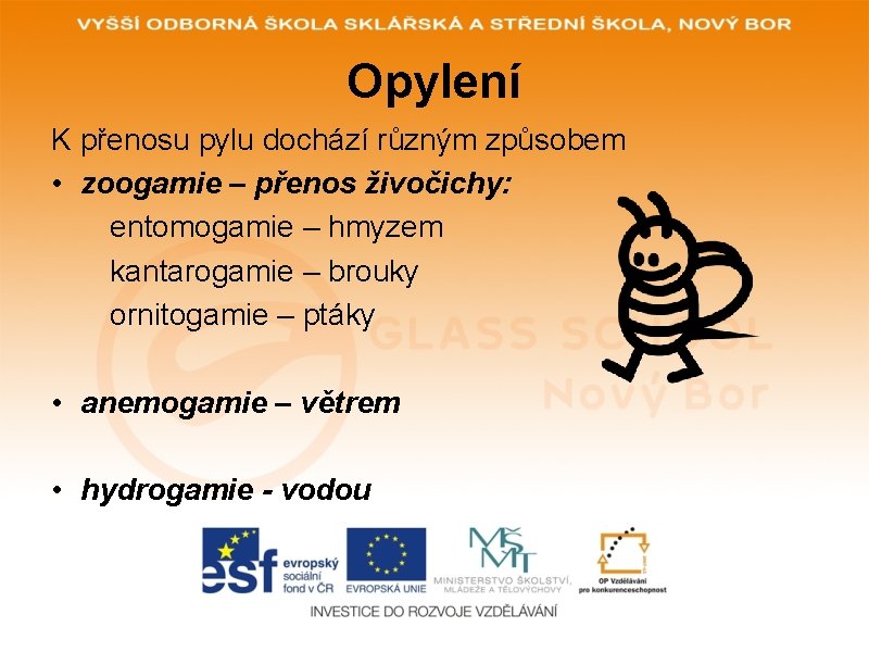 Opylení K přenosu pylu dochází různým způsobem • zoogamie – přenos živočichy: entomogamie –