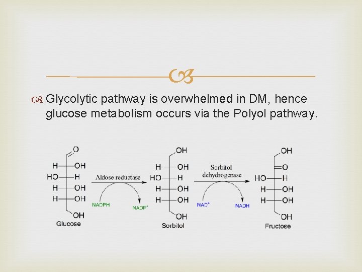  Glycolytic pathway is overwhelmed in DM, hence glucose metabolism occurs via the Polyol