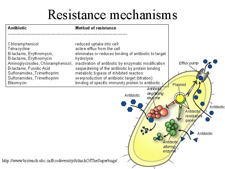Resistance mechanisms Antibiotic Method of resistance ------------------------------------Chloramphenicol Tetracycline B-lactams, Erythromycin, B-lactams, Erythromycin Aminoglycosides, Chloramphenicol,