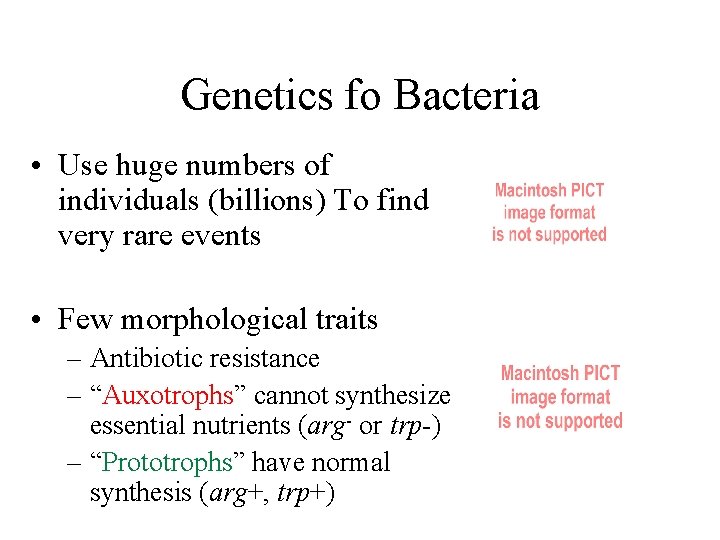 Genetics fo Bacteria • Use huge numbers of individuals (billions) To find very rare
