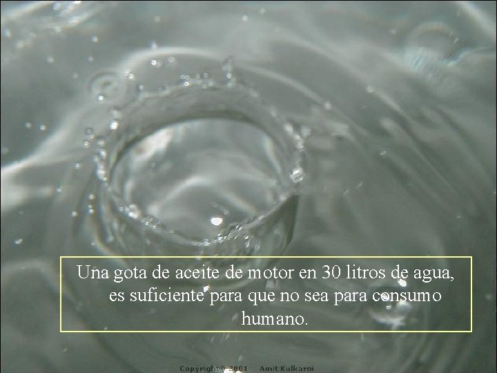 Una gota de aceite de motor en 30 litros de agua, es suficiente para