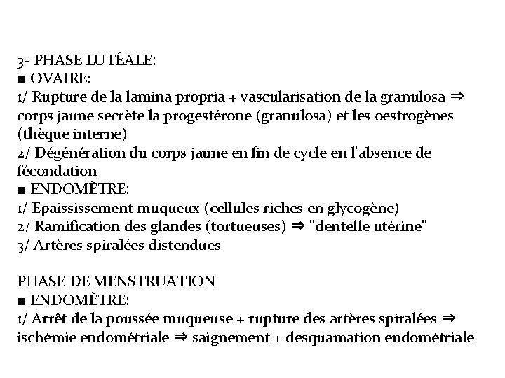 3 - PHASE LUTÉALE: ■ OVAIRE: 1/ Rupture de la lamina propria + vascularisation