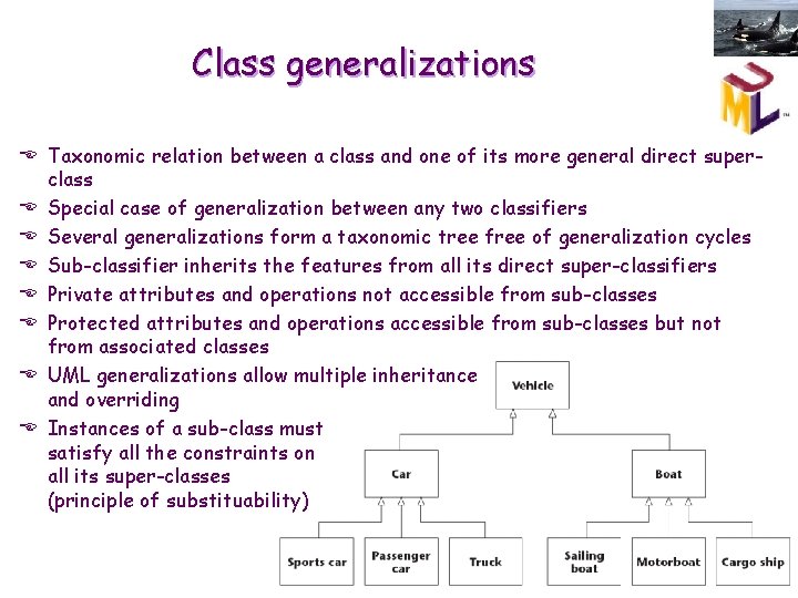 Class generalizations E Taxonomic relation between a class and one of its more general