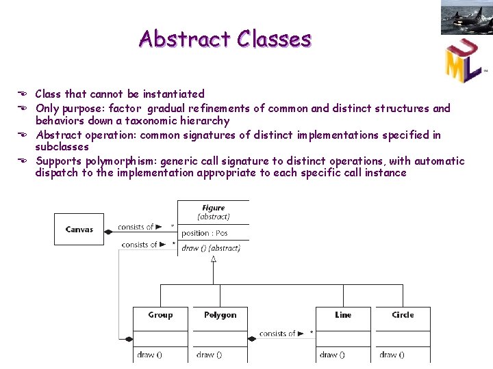 Abstract Classes E Class that cannot be instantiated E Only purpose: factor gradual refinements