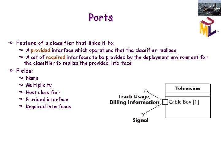 Ports E Feature of a classifier that links it to: E A provided interface