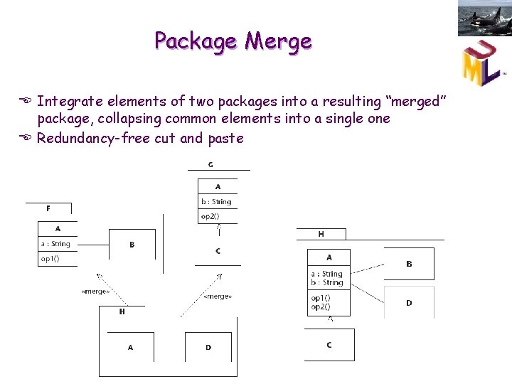 Package Merge E Integrate elements of two packages into a resulting “merged” package, collapsing