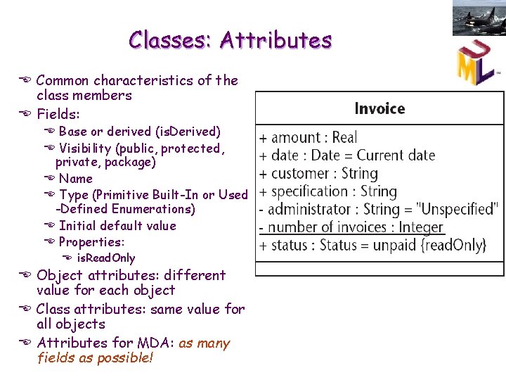 Classes: Attributes E Common characteristics of the class members E Fields: E Base or