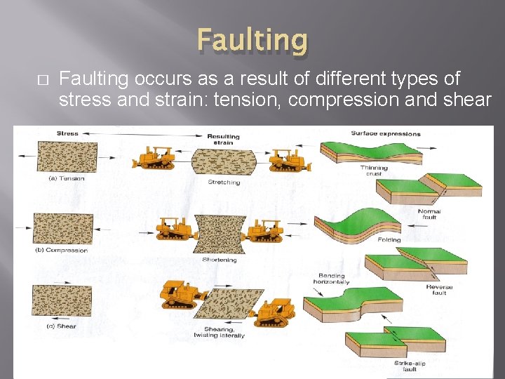 Faulting � Faulting occurs as a result of different types of stress and strain: