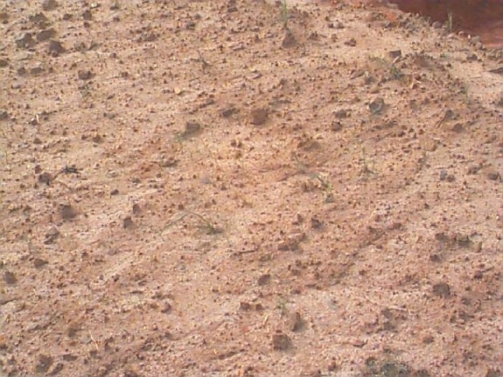 NC STATE UNIVERSITY DEPARTMENT of SOIL SCIENCE 