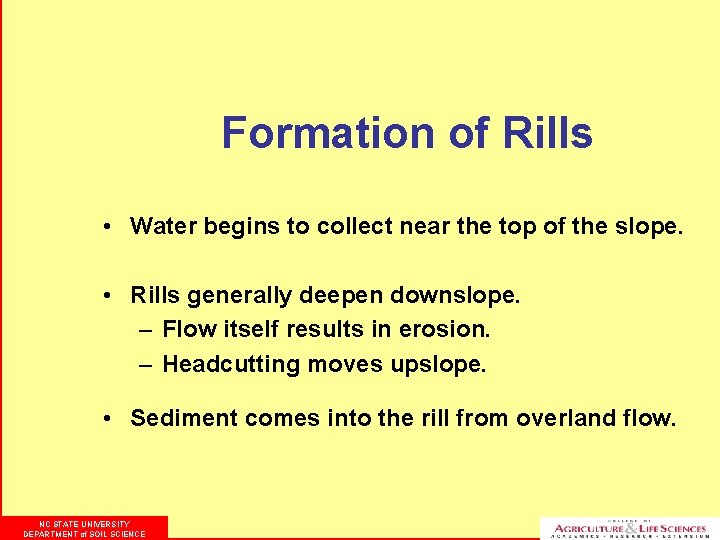 Formation of Rills • Water begins to collect near the top of the slope.