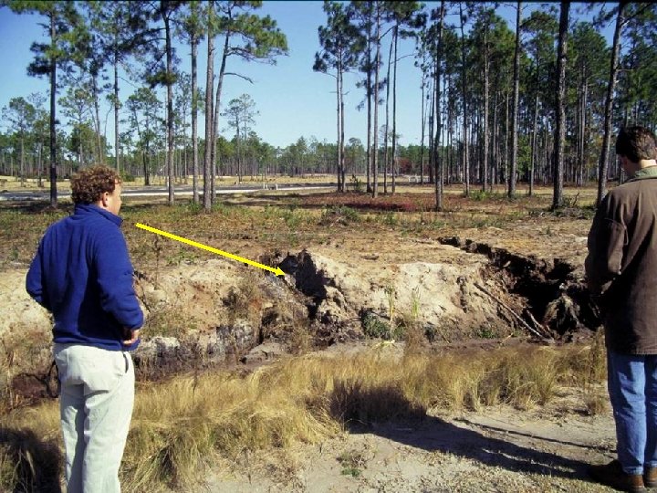 NC STATE UNIVERSITY DEPARTMENT of SOIL SCIENCE 
