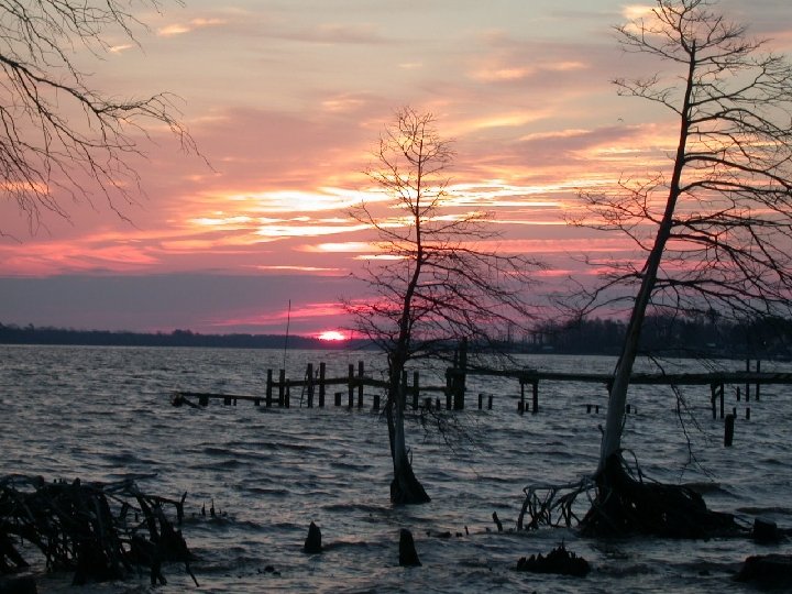 NC STATE UNIVERSITY DEPARTMENT of SOIL SCIENCE 