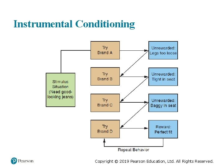 Instrumental Conditioning Copyright © 2019 Pearson Education, Ltd. All Rights Reserved. 