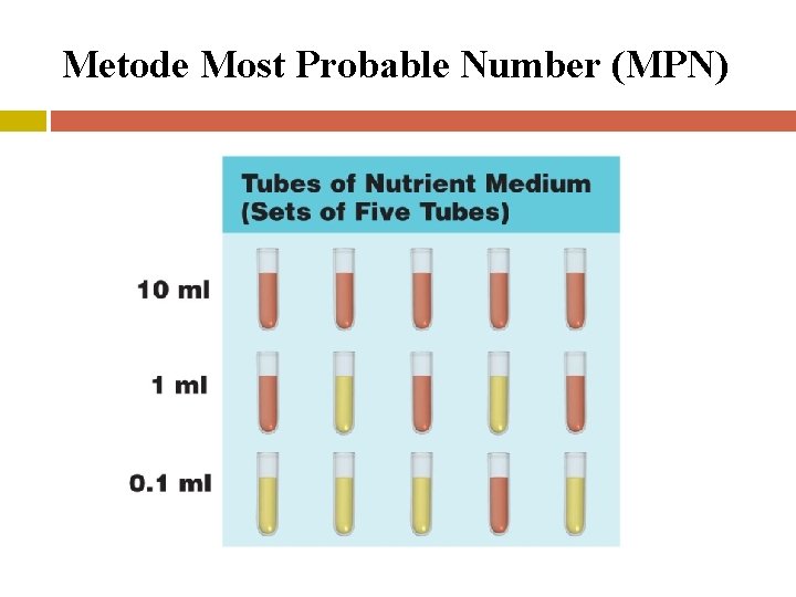 Metode Most Probable Number (MPN) 